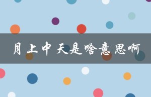月上中天是啥意思啊（什么是月上中天）