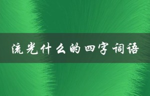流光什么的四字词语（流光何为）