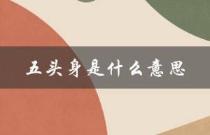 五头身是什么意思（头身比是什么）