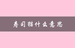 寿司猫什么意思（娜美寿司是什么）
