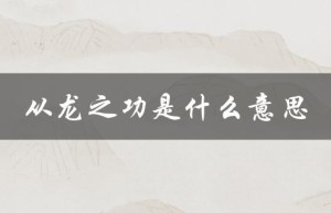 从龙之功是什么意思（竖子是什么）