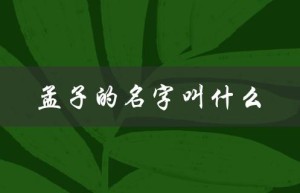 孟子的名字叫什么（孟子的字是什么（5个字））
