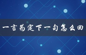 一言为定下一句怎么回（一言为定，如何接下句（15个字符））