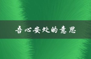 吾心安处的意思（什么是吾心安处的含义）