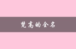 梵高的全名（梵高全名是什么（5字））