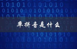 率拼音是什么（死亡率的拼音是什么）