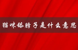 猫咪舔脖子是什么意思（猫咪舔主人脖子的含义是什么）