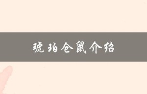 琥珀仓鼠介绍（琥珀仓鼠凶猛吗）