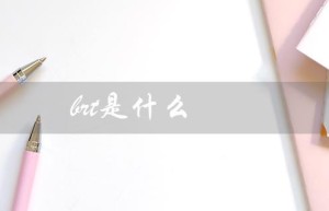 BRT是什么（公交系统的新型发展模式）