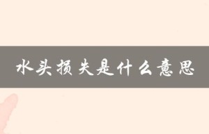 水头损失是什么意思（水头的定义是什么）