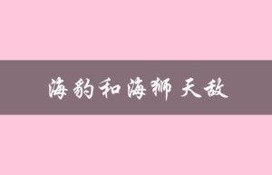 海豹和海狮天敌（海狮和海豹的天敌是谁）