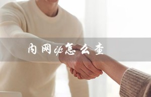 内网ip怎么查（手机如何查看内网IP）