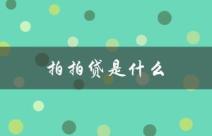 拍拍贷是什么（拍拍贷是哪个平台）