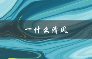一什么清风（一清风填什么）