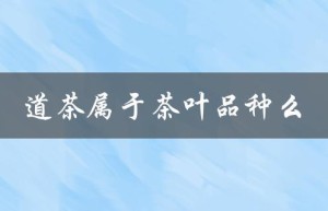 道茶属于茶叶品种么（野茶是何种茶叶）