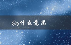 bpy什么意思（bpy是啥）