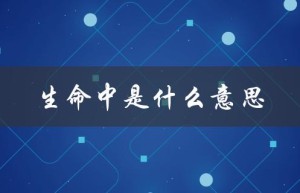 生命中是什么意思（生命意义何在）