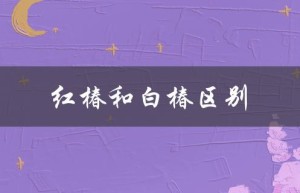 红椿和白椿区别（红椿白椿有何区别）