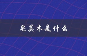 皂荚木是什么（皂荚木的含义是什么）