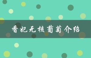 香妃无核葡萄介绍（什么是香妃无核葡萄）