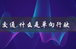 交通,什么是单向行驶（解释与应用场景）