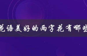 花语美好的两字花有哪些（美好的花语是什么）