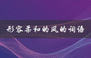 形容柔和的风的词语（风很柔和的形容词是什么）