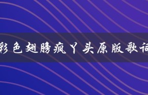 彩色翅膀疯丫头原版歌词（疯丫头主题曲是什么）