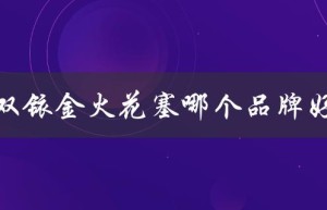 双铱金火花塞哪个品牌好（双铱金和铱铂金哪个更好）