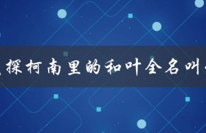 名侦探柯南里的和叶全名叫什么（揭秘和叶的身世）