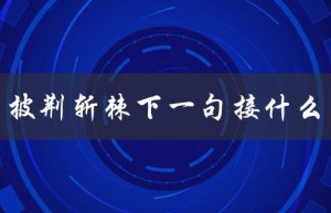 披荆斩棘下一句接什么（披荆斩棘后该做什么）