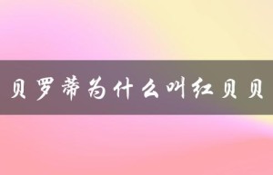 贝罗蒂为什么叫红贝贝：揭秘小狗的命名来源