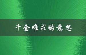 千金难求的意思（千金难求的含义是什么）