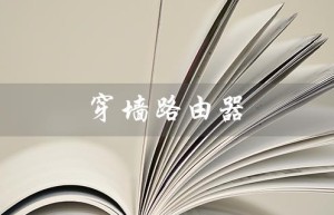 穿墙路由器（穿墙路由器排行榜是什么）