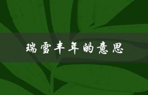 瑞雪丰年的意思（瑞雪丰年的含义及用法）