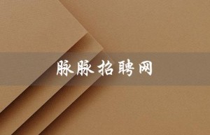 脉脉招聘网（脉脉招聘怎么样）