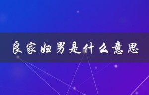良家妇男是什么意思（解释和历史背景）