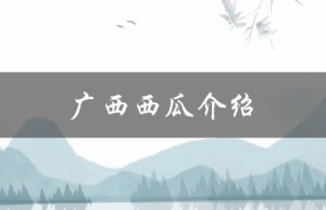 广西西瓜介绍（广西西瓜品种介绍是什么）