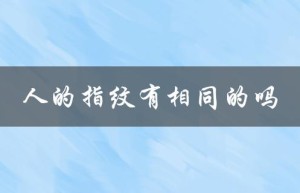 解密人类独特的指纹密码