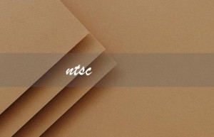 ntsc（NTSC72%和100%SRGB是什么）