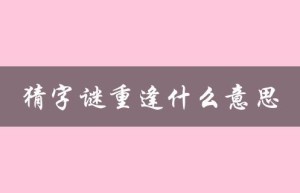 猜字谜重逢什么意思（猜字谜重逢的含义是什么）