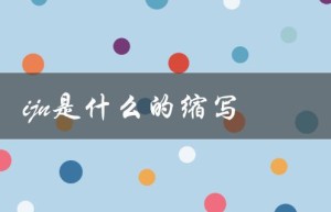 ijn是什么的缩写（什么是IJN）