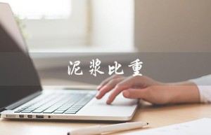 泥浆比重（泥浆比重测试是什么）