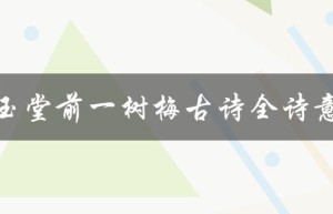 白玉堂前一树梅古诗全诗意思（白玉堂前一树梅是什么）