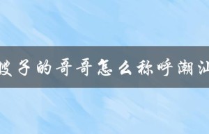 嫂子的哥哥怎么称呼潮汕（如何称呼嫂子的哥哥的老婆）