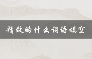精致的什么词语填空（什么可以填入精致的这个词语）