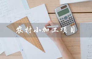 农村小加工项目（在家生产的农村小加工厂项目）
