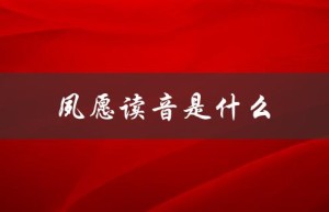 夙愿读音是什么（夙愿的读音和意思是什么）