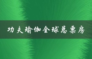 功夫瑜伽全球总票房（功夫瑜伽总票房多少）