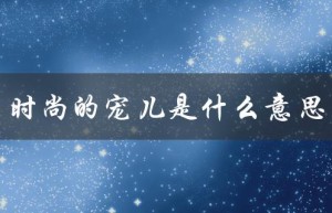 时尚的宠儿是什么意思（时尚界宠儿的含义是什么）